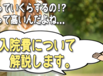 出産費用が不安な妊婦さん