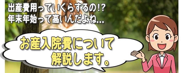 出産費用が不安な妊婦さん